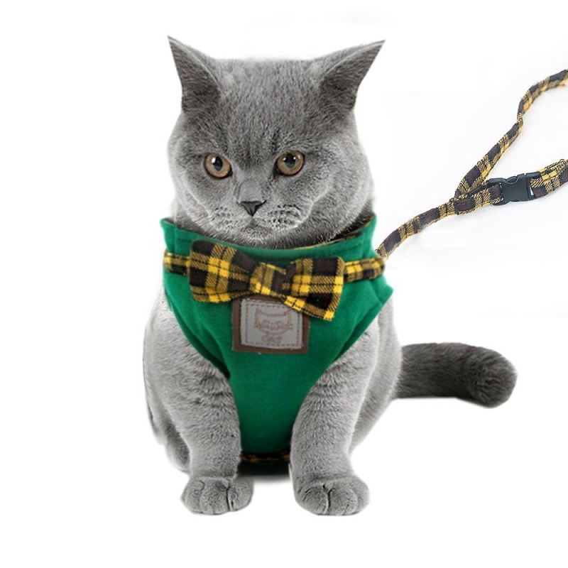 【Momugs Akira】애완동물용품 고양이 산책 외출 로프 넥타이 양복 나비매듭 리드 간단 탈착식 